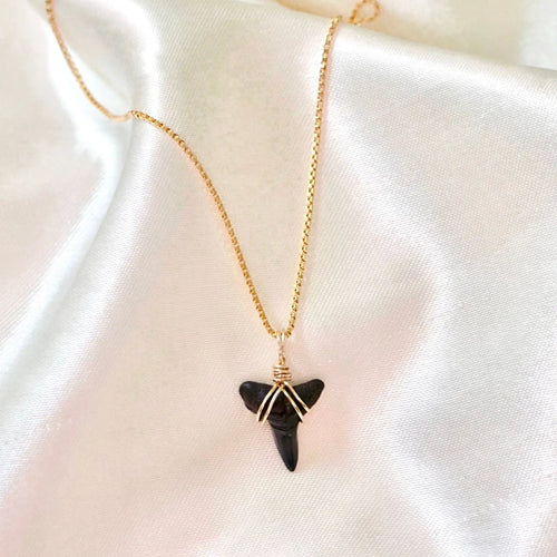 Reluxe Vintage Box chain (plain necklace) Shark Tooth Necklace