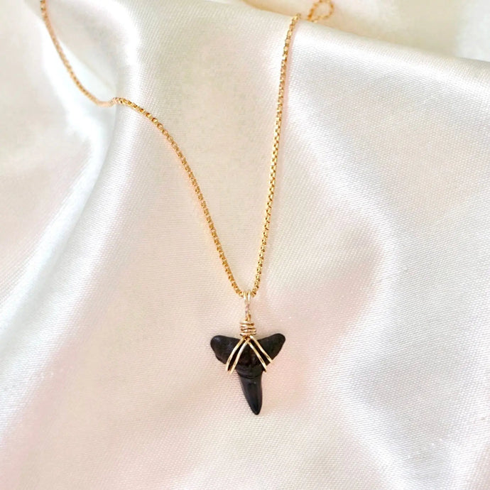 Reluxe Vintage Box chain (plain necklace) Shark Tooth Necklace
