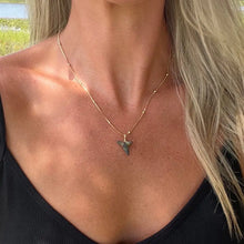 Load image into Gallery viewer, Reluxe Vintage Shark Tooth Necklace

